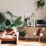 Tranquil interiors