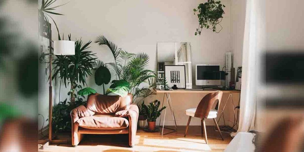 Tranquil interiors