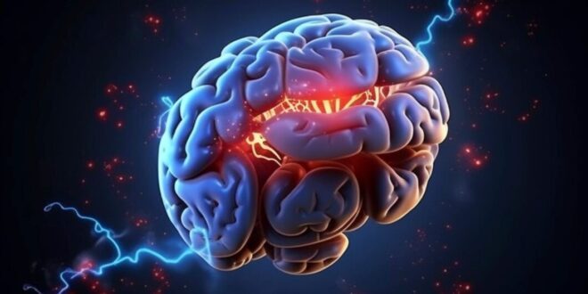 Brain Inflammation: Understanding, Diagnosing, and Treating Encephalitis