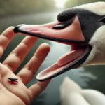 Was Diseases Can Swans Carry If They Bite You? Exploring the Risks and Safety Measures