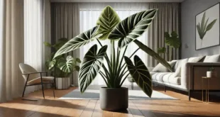 Alocasia Amazonica: The Ultimate Guide to a Stunning Tropical Houseplant