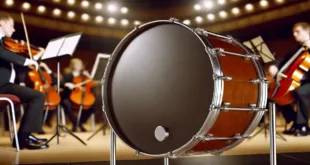 The Bass Drum: Heartbeat of Rhythm