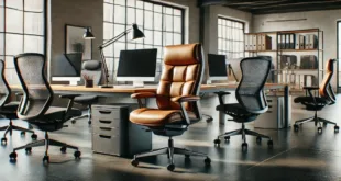 Comprehensive Guide to Office Chairs: Types and Benefits