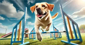 Agility Products for Dogs: Boosting Fitness, Fun, and Focus in Your Furry Friend