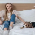 The Ultimate Guide to Human Dog Beds: Comfort for You and Your Furry Friend