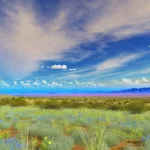 Discovering Arivaca: Arizona’s Hidden Gem