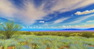 Discovering Arivaca: Arizona’s Hidden Gem