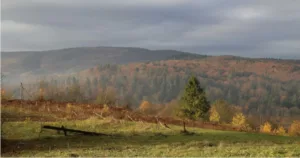 Exploring Bostic NC: A Hidden Gem in Western North Carolina