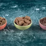 Farmers Market Dog Food: 7 Fresh, Nutritious Choices for Dogs