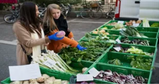 Forster Markets: A Comprehensive Guide to Understanding and Leveraging Opportunities