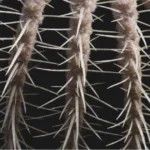 hair tissue mineral analysis: Top 10 Must-Have Picks in 2024
