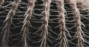 hair tissue mineral analysis: Top 10 Must-Have Picks in 2024