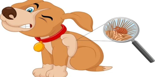 How Dogs Get Worms: 7 Shocking Causes & Prevention Tips