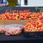 Nelson Bay Markets: 7 Unique Finds You’ll Absolutely Love