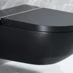 Why Black Toilets are a Luxury Choice