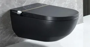 Why Black Toilets are a Luxury Choice