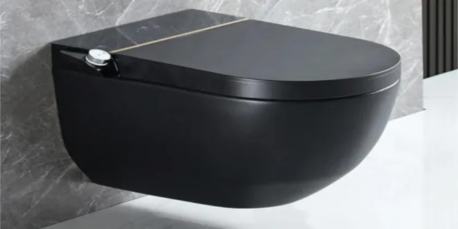 Why Black Toilets are a Luxury Choice