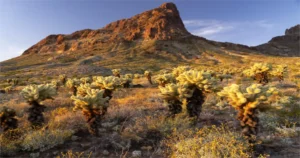Arivaca Arizona: A Hidden Gem of the Southwest