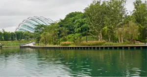 The Ultimate Guide to cedarpines park: A Hidden Gem in California