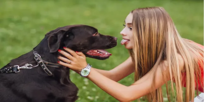 Dogs Near Me: The Ultimate Guide to Finding Your Perfect Dog Companion