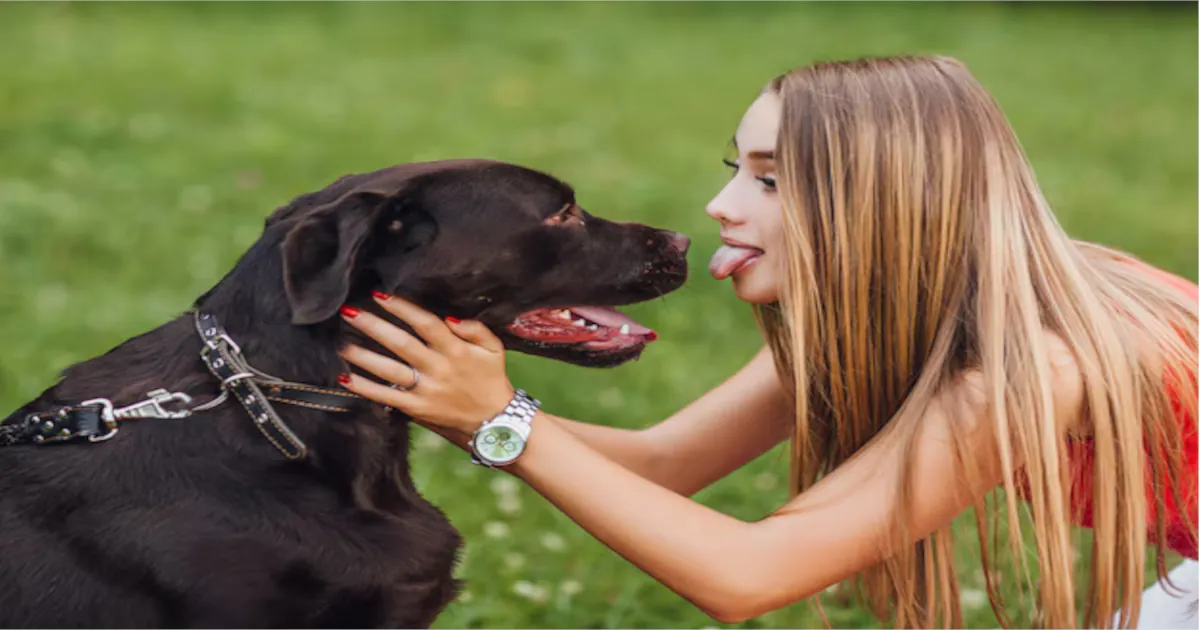 Dogs Near Me: The Ultimate Guide to Finding Your Perfect Dog Companion