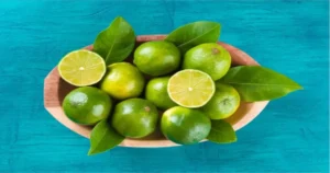 Exploring Lemmon SD: A Hidden Gem in the Heart of South Dakota