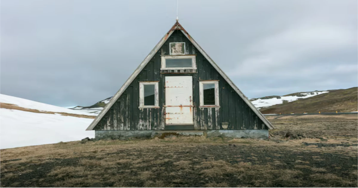Flight to Dallas: Discovering Bunkie LA and Its Growing Popularity