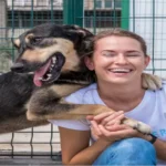 Finding the Perfect Companion with dogs near me rescue