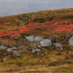 Discover Dunseith ND: A Hidden Gem in North Dakota