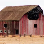 Flight to Dallas: Discovering harlan ia