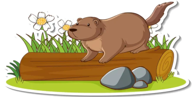 How to Catch a Groundhog: A Complete Guide to Humane Trapping
