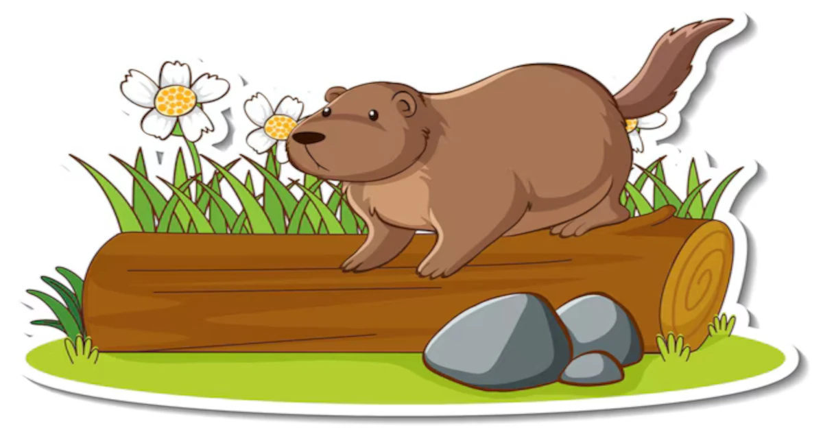 How to Catch a Groundhog: A Complete Guide to Humane Trapping
