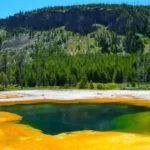 Exploring the Charm of Inyokern CA: Your Guide to California’s Hidden Gem