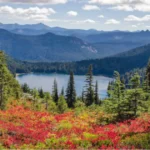 Discover Madawaska: The Hidden Gem of Northern Maine