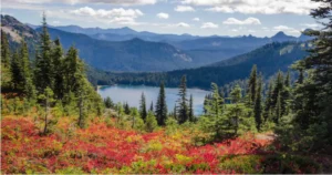 Discover Madawaska: The Hidden Gem of Northern Maine