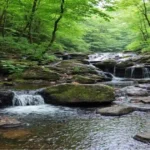 New Tripoli PA County: A Hidden Gem in the Lehigh Valley