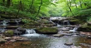 New Tripoli PA County: A Hidden Gem in the Lehigh Valley