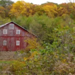 Pennsylvania Saylorsburg: A Hidden Gem Worth Discovering