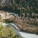 Trout Creek Montana: A Hidden Gem for Outdoor Enthusiasts