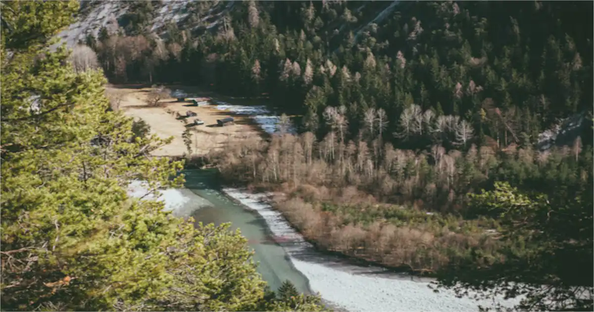 Trout Creek Montana: A Hidden Gem for Outdoor Enthusiasts
