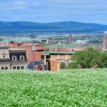 Discover Wellsville PA: A Hidden Gem in the Heart of Pennsylvania