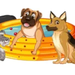 Which Dogs Live the Longest: A Guide to Long-Lived Dog Breeds