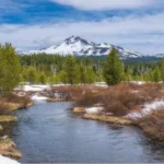 Flight to Winlock WA: Discover the Heart of Lewis County