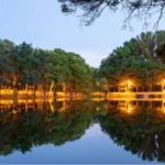 Discover Woodville Mississippi: A Hidden Gem in the South