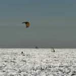 The Ultimate Guide to Sailboarding: Windsurfing Tips & Gear