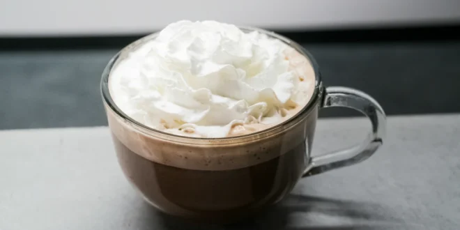 Smart Whip: A Comprehensive Guide to Whipped Cream Dispensers