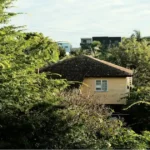 Residential Turf in Brisbane: The Perfect Green Solution for Your Home