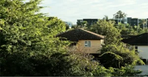 Residential Turf in Brisbane: The Perfect Green Solution for Your Home