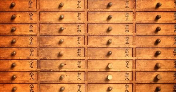Toolbox Drawers: 5 Reasons to Organize Your Ute Today