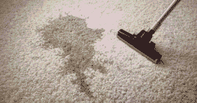 Getting a Deeper Clean: How Carpet Presprays Improve Results for Homes and Offices
